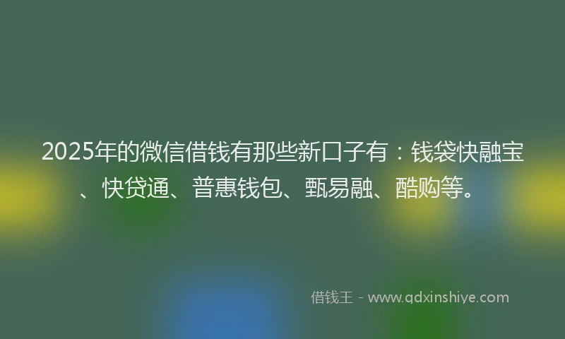 2025年的微信借钱有那些新口子有：钱袋快融宝、快贷通、普惠钱包、甄易融、酷购等。