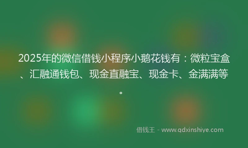 2025年的微信借钱小程序小鹅花钱有：微粒宝盒、汇融通钱包、现金直融宝、现金卡、金满满等。
