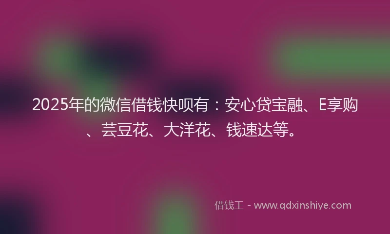 2025年的微信借钱快呗有：安心贷宝融、E享购、芸豆花、大洋花、钱速达等。