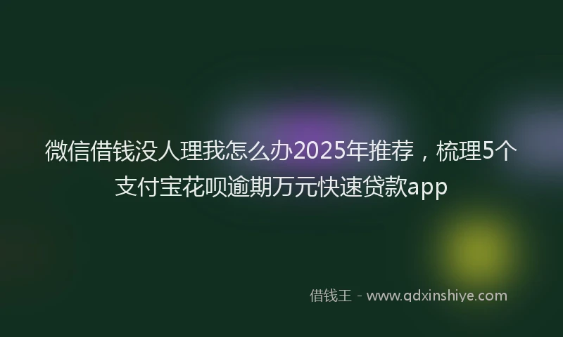 微信借钱没人理我怎么办2025年推荐，梳理5个支付宝花呗逾期万元快速贷款app