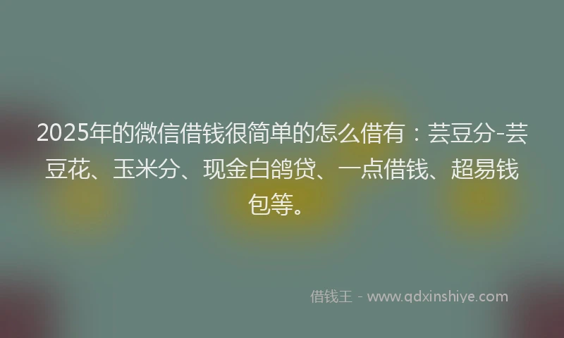 2025年的微信借钱很简单的怎么借有：芸豆分-芸豆花、玉米分、现金白鸽贷、一点借钱、超易钱包等。