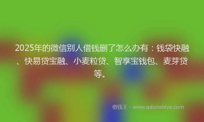 2025年的微信别人借钱删了怎么办有：钱袋快融、快易贷宝融、小麦粒贷、智享宝钱包、麦芽贷等。