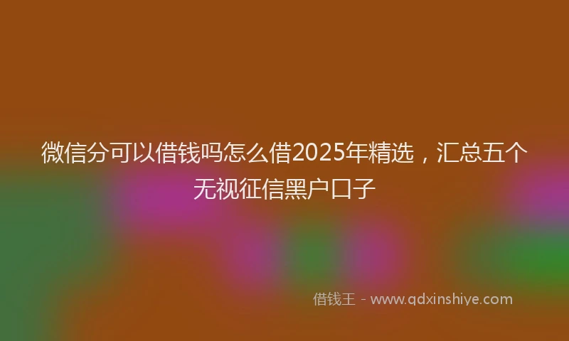 微信分可以借钱吗怎么借2025年精选，汇总五个无视征信黑户口子