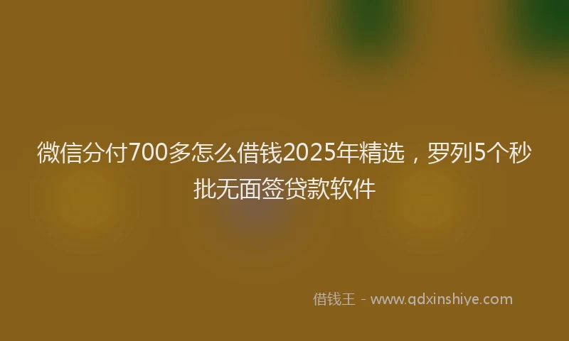 微信分付700多怎么借钱2025年精选，罗列5个秒批无面签贷款软件
