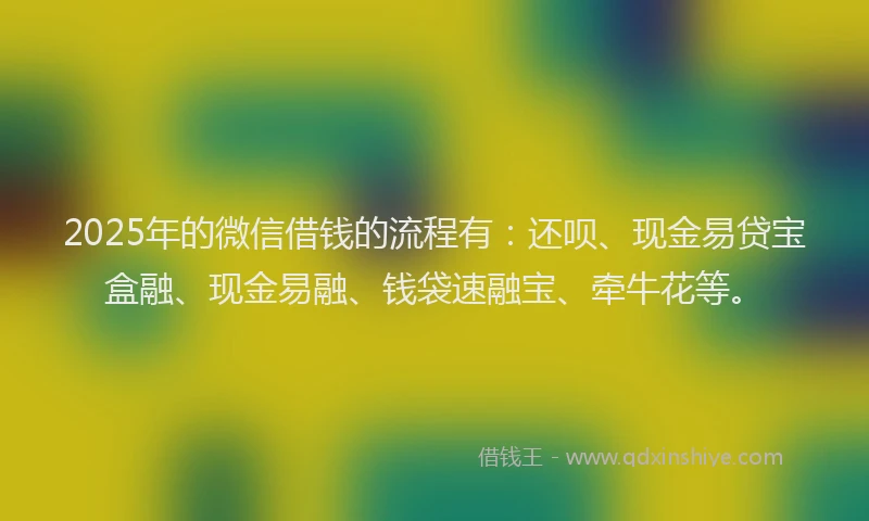 2025年的微信借钱的流程有：还呗、现金易贷宝盒融、现金易融、钱袋速融宝、牵牛花等。