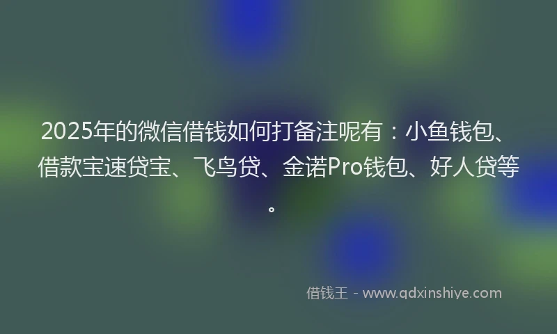 2025年的微信借钱如何打备注呢有：小鱼钱包、借款宝速贷宝、飞鸟贷、金诺Pro钱包、好人贷等。