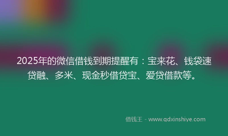 2025年的微信借钱到期提醒有：宝来花、钱袋速贷融、多米、现金秒借贷宝、爱贷借款等。