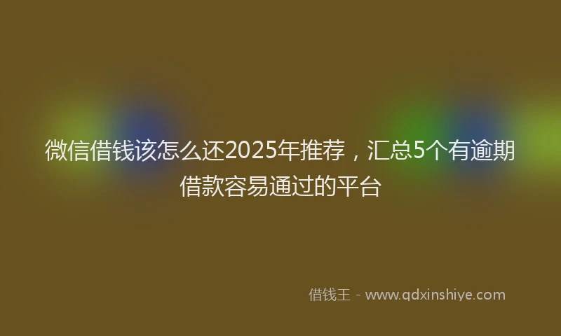 微信借钱该怎么还2025年推荐，汇总5个有逾期借款容易通过的平台