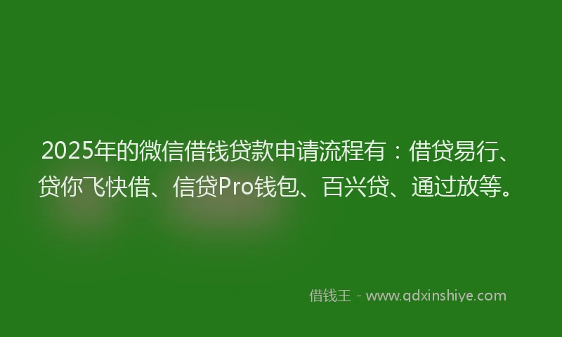 2025年的微信借钱贷款申请流程有：借贷易行、贷你飞快借、信贷Pro钱包、百兴贷、通过放等。
