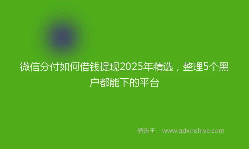 微信分付如何借钱提现2025年精选，整理5个黑户都能下的平台