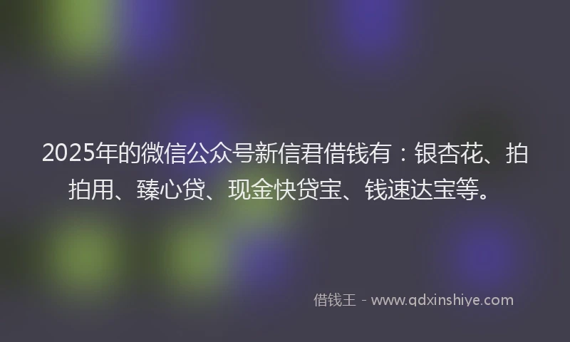 2025年的微信公众号新信君借钱有：银杏花、拍拍用、臻心贷、现金快贷宝、钱速达宝等。