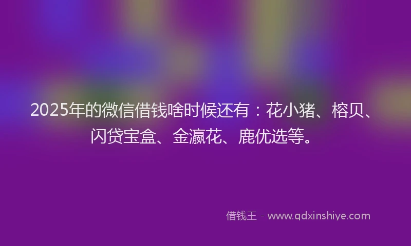 2025年的微信借钱啥时候还有：花小猪、榕贝、闪贷宝盒、金瀛花、鹿优选等。