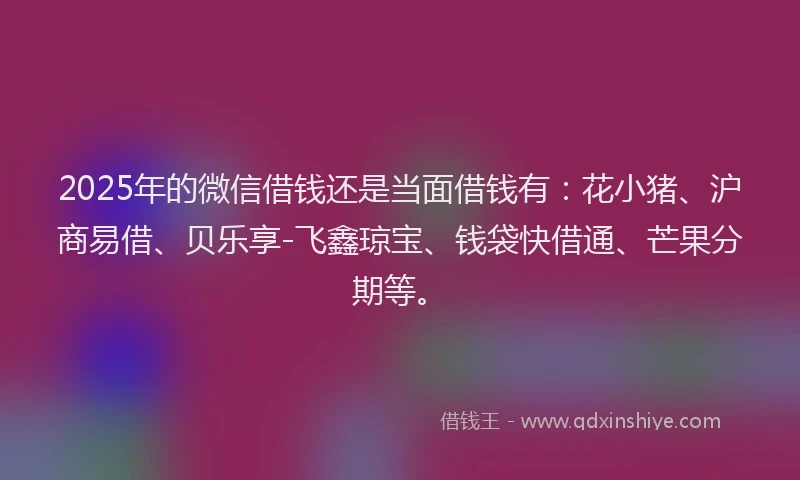 2025年的微信借钱还是当面借钱有：花小猪、沪商易借、贝乐享-飞鑫琼宝、钱袋快借通、芒果分期等。