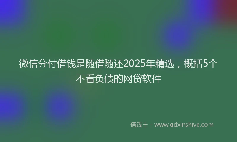微信分付借钱是随借随还2025年精选，概括5个不看负债的网贷软件