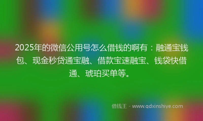 2025年的微信公用号怎么借钱的啊有：融通宝钱包、现金秒贷通宝融、借款宝速融宝、钱袋快借通、琥珀买单等。