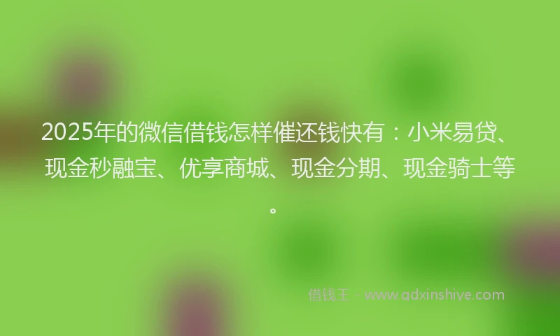 2025年的微信借钱怎样催还钱快有：小米易贷、现金秒融宝、优享商城、现金分期、现金骑士等。