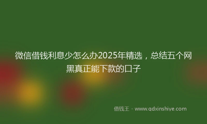 微信借钱利息少怎么办2025年精选，总结五个网黑真正能下款的口子