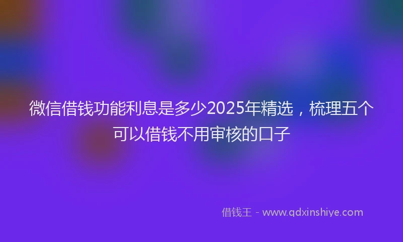 微信借钱功能利息是多少2025年精选，梳理五个可以借钱不用审核的口子