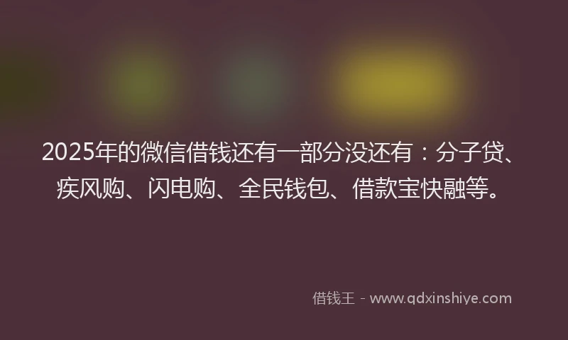 2025年的微信借钱还有一部分没还有：分子贷、疾风购、闪电购、全民钱包、借款宝快融等。