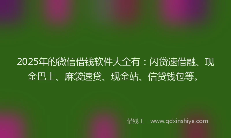 2025年的微信借钱软件大全有：闪贷速借融、现金巴士、麻袋速贷、现金站、信贷钱包等。