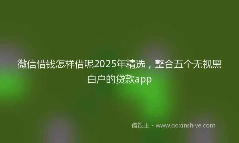微信借钱怎样借呢2025年精选，整合五个无视黑白户的贷款app
