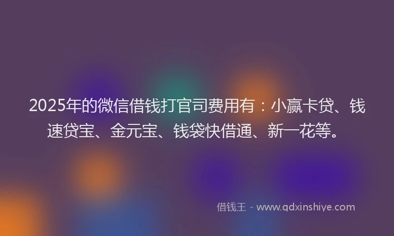 2025年的微信借钱打官司费用有：小赢卡贷、钱速贷宝、金元宝、钱袋快借通、新一花等。