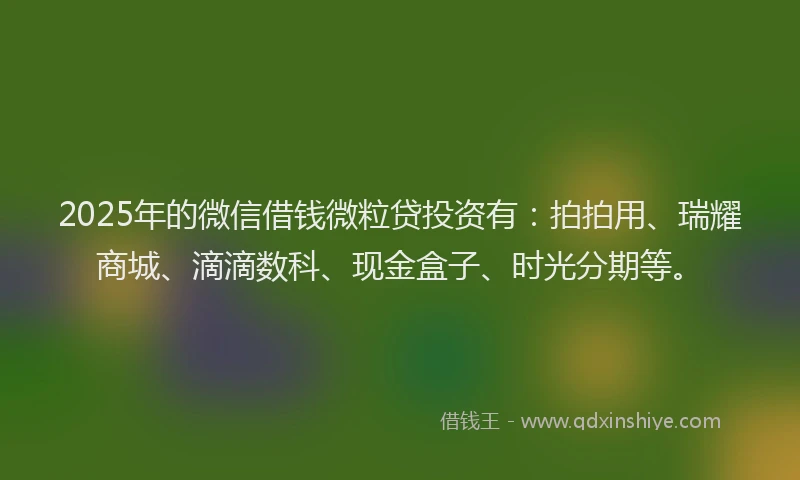 2025年的微信借钱微粒贷投资有：拍拍用、瑞耀商城、滴滴数科、现金盒子、时光分期等。