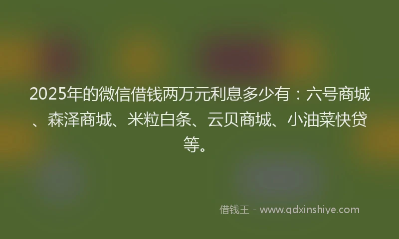 2025年的微信借钱两万元利息多少有：六号商城、森泽商城、米粒白条、云贝商城、小油菜快贷等。
