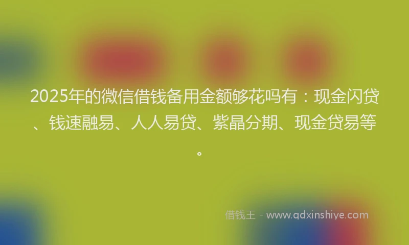 2025年的微信借钱备用金额够花吗有：现金闪贷、钱速融易、人人易贷、紫晶分期、现金贷易等。