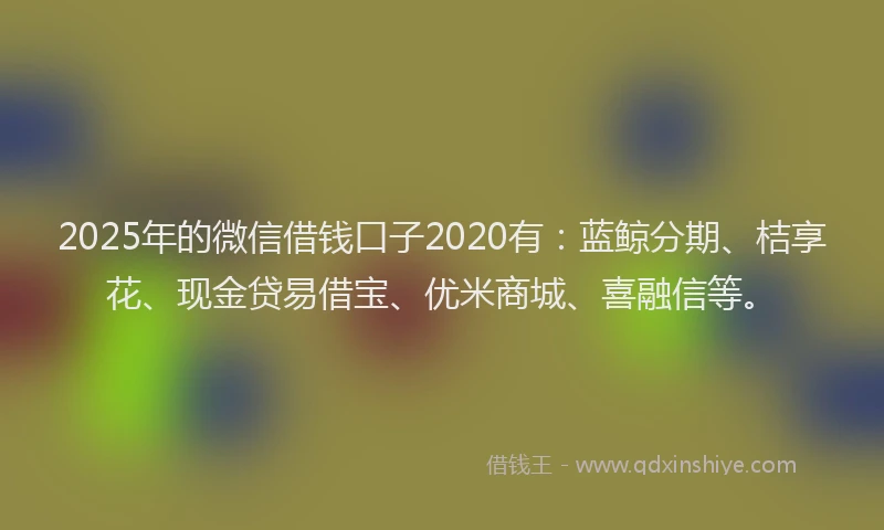 2025年的微信借钱口子2020有：蓝鲸分期、桔享花、现金贷易借宝、优米商城、喜融信等。