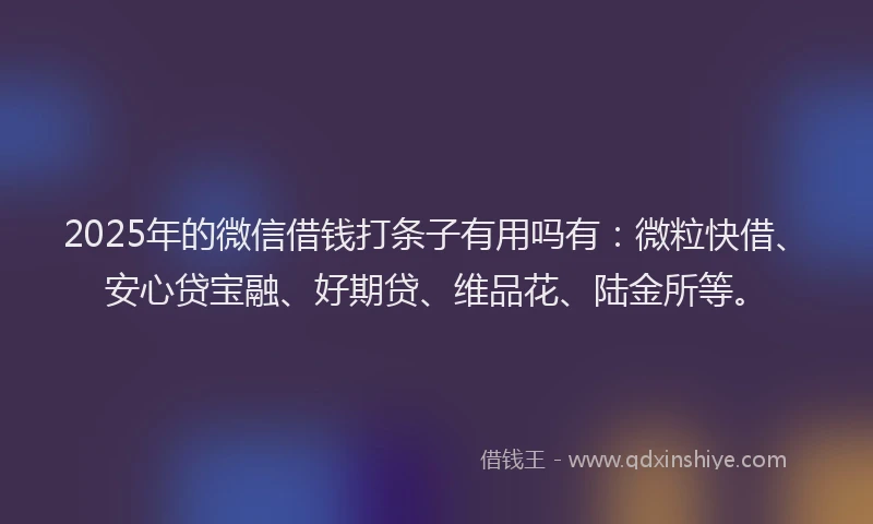 2025年的微信借钱打条子有用吗有：微粒快借、安心贷宝融、好期贷、维品花、陆金所等。