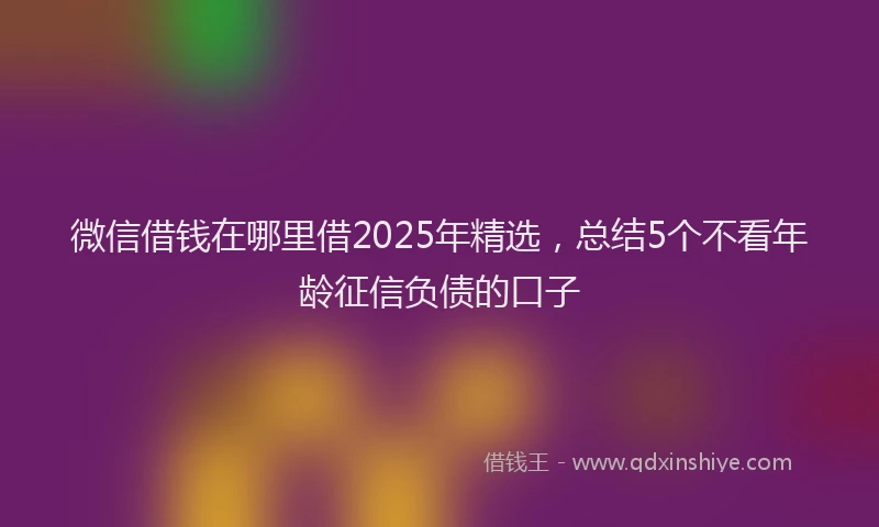微信借钱在哪里借2025年精选，总结5个不看年龄征信负债的口子