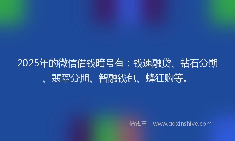 2025年的微信借钱暗号有：钱速融贷、钻石分期、翡翠分期、智融钱包、蜂狂购等。