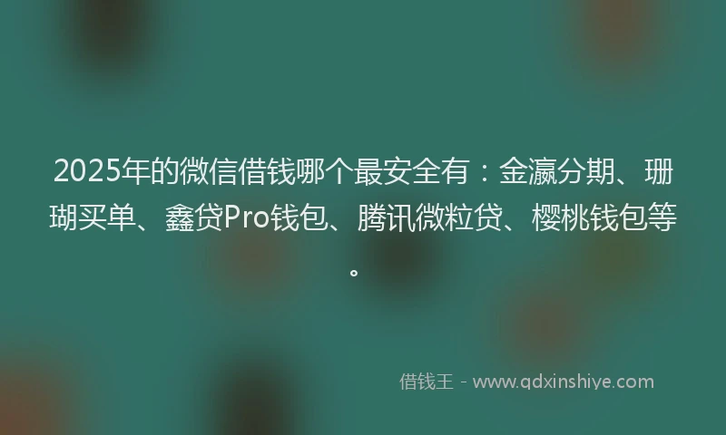 2025年的微信借钱哪个最安全有：金瀛分期、珊瑚买单、鑫贷Pro钱包、腾讯微粒贷、樱桃钱包等。