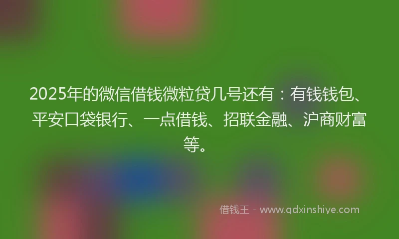 2025年的微信借钱微粒贷几号还有：有钱钱包、平安口袋银行、一点借钱、招联金融、沪商财富等。
