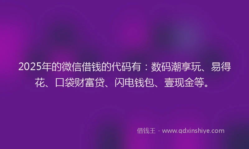 2025年的微信借钱的代码有：数码潮享玩、易得花、口袋财富贷、闪电钱包、壹现金等。