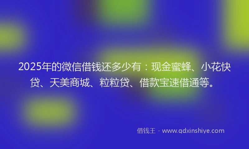 2025年的微信借钱还多少有：现金蜜蜂、小花快贷、天美商城、粒粒贷、借款宝速借通等。