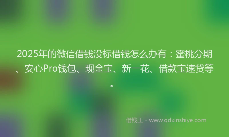 2025年的微信借钱没标借钱怎么办有：蜜桃分期、安心Pro钱包、现金宝、新一花、借款宝速贷等。
