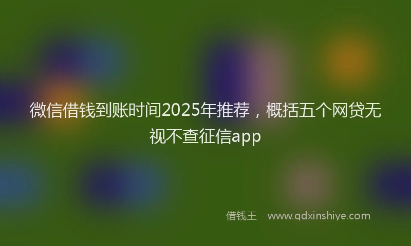 微信借钱到账时间2025年推荐，概括五个网贷无视不查征信app