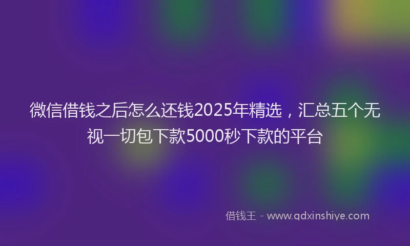 微信借钱之后怎么还钱2025年精选，汇总五个无视一切包下款5000秒下款的平台