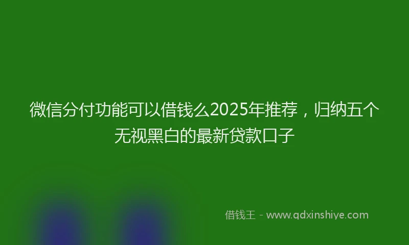 微信分付功能可以借钱么2025年推荐，归纳五个无视黑白的最新贷款口子