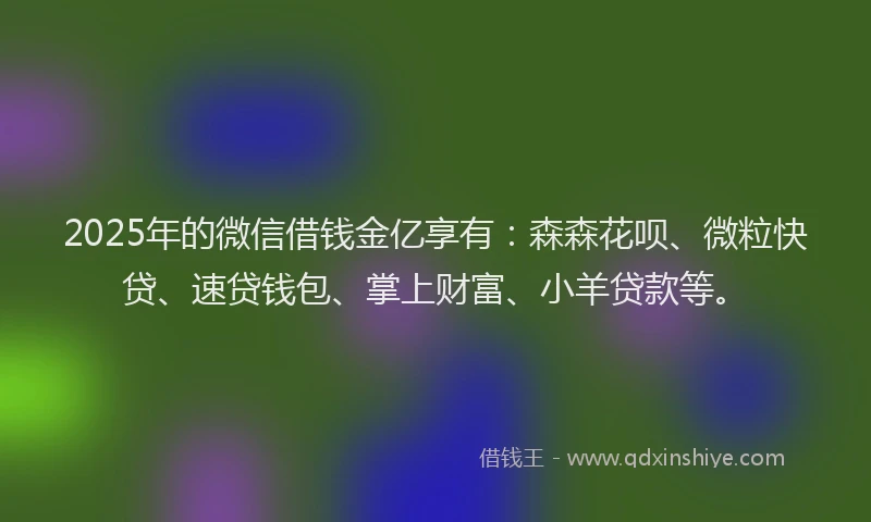 2025年的微信借钱金亿享有：森森花呗、微粒快贷、速贷钱包、掌上财富、小羊贷款等。
