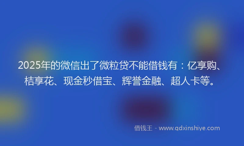 2025年的微信出了微粒贷不能借钱有：亿享购、桔享花、现金秒借宝、辉誉金融、超人卡等。
