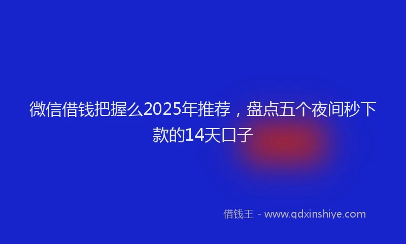 微信借钱把握么2025年推荐，盘点五个夜间秒下款的14天口子