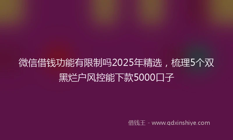 微信借钱功能有限制吗2025年精选，梳理5个双黑烂户风控能下款5000口子