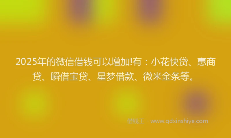 2025年的微信借钱可以增加!有：小花快贷、惠商贷、瞬借宝贷、星梦借款、微米金条等。