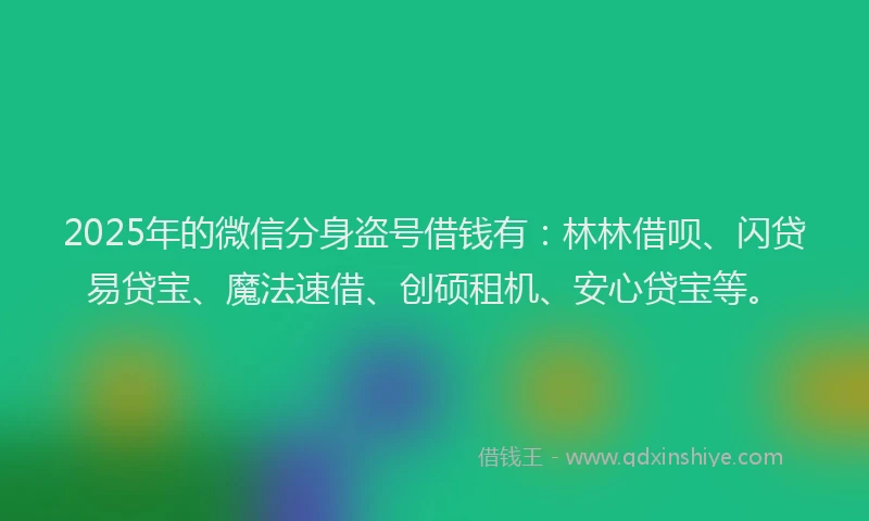2025年的微信分身盗号借钱有：林林借呗、闪贷易贷宝、魔法速借、创硕租机、安心贷宝等。
