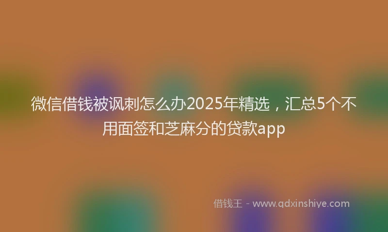 微信借钱被讽刺怎么办2025年精选，汇总5个不用面签和芝麻分的贷款app