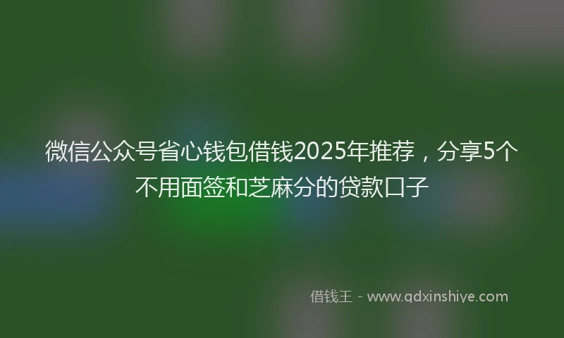 微信公众号省心钱包借钱2025年推荐，分享5个不用面签和芝麻分的贷款口子