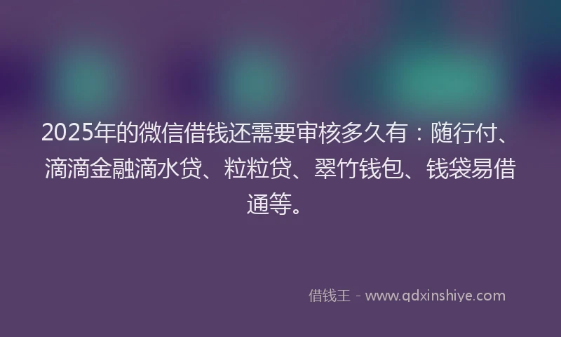 2025年的微信借钱还需要审核多久有：随行付、滴滴金融滴水贷、粒粒贷、翠竹钱包、钱袋易借通等。